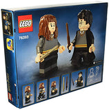 LEGO 76393 Harry Potter & Hermione Granger - New.