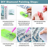 5D Diamond Painting Kits Dancing Ballerina Shoes DIY Paint with Full Drill Round Diamond Art by Number Kits Crystal Craft Cross Stitch for Dancer Gift and Dance Studio Decoration 30x40cm(WD7)