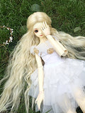 softgege (22-24cm) 1/3 BJD Doll SD Fur Wig Dollfie / Multiple Color Curly Long Hair / Custom-Made BJD Wig / DZW-02