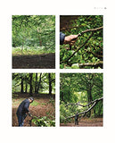 Slingshots & Key Hooks: 15 Everyday Objects Made from Foraged and Gathered Wood (Fox Chapel Publishing) Step-by-Step Projects from Found Wood, plus Basic Woodworking Techniques & Wood Foraging Advice
