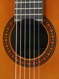 Yamaha CGS103A 3/4-Size Classical Guitar Bundle with Gig Bag, Tuner, Strings, String Winder, Austin Bazaar Instructional DVD, and Polishing Cloth