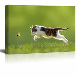 wall26 - Canvas Wall Art - A Kitty Chasing a Butterfly - Giclee Print Gallery Wrap Modern Home Decor Ready to Hang - 32" x 48"
