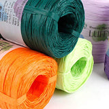 Luffy Premium 2mm Thickness Craft Ribbon Light Weight Paper Yarn (4 Skeins) (Hot Pink)