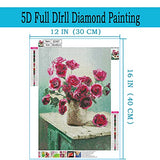 Diamond Painting Kits for Adults,DIY 5D Round Full Drill Diamond Art,Very Suitable for Home Leisure and Wall Decoration - 12×16 in（DOTZSO）