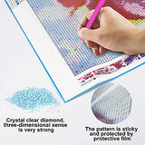 5D Diamond Painting Kits for Adults Full Drill,Diamond Art Skull Paint with Diamonds DIY Mosaic Making Cross Stitch Embroidery Rhinestone (Blue)