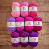 Studio Sam Acrylic Yarn Set. Ten Large 50g Skeins. Total 1030 Yards. for All Knitting, Crochet and Craft Projects. (Blossom Collection)