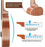 Soprano Ukulele Beginner Pack-21 Inch w/Gig Bag,Strap, Picks,Strings All in One Kit (Brown)