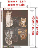 LFMU 5D Full Round Diamond Painting Kit, Adult DIY Art Rhinestone Painting Reflection Cat Animal Akit Embroidery Artist Home Decoration 14x18 inches