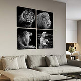 4 Pieces Living Room Wall Art Decor Black and White Animals Theme Prints Picture Canvas Decoration Framed Modern Home Painting Artwork (Animals A, 16x16inchx4pcs)