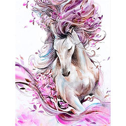 DIY Diamond Painting, Crystal Rhinestone Diamond Embroidery Pictures Arts Craft for Home Wall Decor Horse Fairy 11.8 × 15.7in 1 Pack by kirity