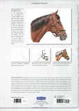 Drawing: Animals in Colored Pencil: Learn to draw with colored pencil step by step (How to Draw &