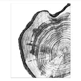 SYHHTTQ Modern Wall Art Tree Ring Printable Tree Stump Wood Slice Canvas Painting Poster and Print Room Decoration Picture 40x60 cm x2 No frame