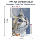 RICUVED 5D Diamond Painting Kits for Adults, Cat Diamond Painting Full Drill Diamond Art Kitten Animal Diamond Painting for Kids Art Craft for Home Wall Decor 11.8x15.7 Inch