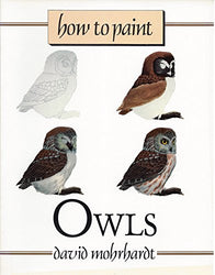 How to Paint Owls
