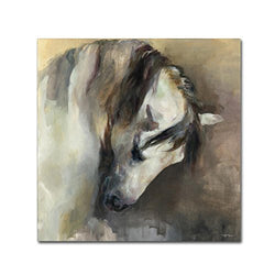 Classical Horse by Marilyn Hageman, 35x35-Inch Canvas Wall Art