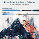 Princeton Aspen 6500 5pc Professional Paint Brushes - Princeton Acrylic Brushes - Synthetic Oil Painting Brushes for Oil Acrylic & Gouache - Set of Art Brushes Filbert Striper Flat & Round Brush Set