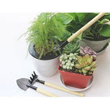 ZELAR MADE Bonsai Set 8 Pcs - Include Pruner,Fold Scissors,Mini Rake,Bud & Leaf Trimmer Set
