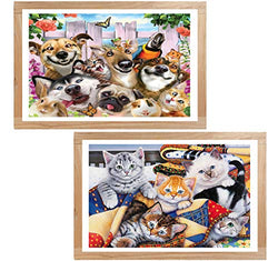5D Diamond Painting Pet Full Drill by Number Kits, Ginfonr Craft Rhinestone Paint with Diamonds Set Arts Decorations, Garden Animals & House Kitten (12'' x 16'', 2 Pack)