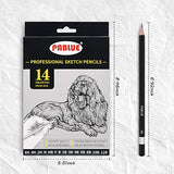 PABLUE Professional Triangular Drawing Sketching Pencil Set,6H,4H,2H,H,HB,F,B,2B,3B,4B,6B,8B,10B,12B Graphite Shading Pencils for Beginners,ProArtists,Drawing,Drafting,Sketching,Shading(14 Pieces)