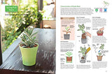 A Beginner's Guide to Succulent Gardening: A Step-by-Step Guide to Growing Beautiful & Long-Lasting Succulents