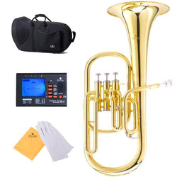 Cecilio 2Series AH-280 Lacquer Eb Alto Horn with Stainless Steel Valves, Gold