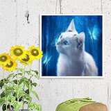 DIY 5D Diamond Painting Kits for Adults & Kids Animals White Cat by Number Kits Round Rhinestone Full Drill Arts Craft Canvas Wall Decor(13.7x13.7inch)
