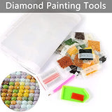 Ginfonr 4 Pack DIY Random Blind Box 5D Diamond Painting Kits Round Full Drill, Mystery Lucky Surprise Paint with Diamonds Art Kits Craft Rhinestone Embroidery for Home Wall Decoration XB008