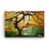 Startonight Canvas Wall Art - Maple Tree, Nature Framed 32 x 48 Inches