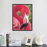 5D Full Drill Diamond Painting Kit Rhinestone Painting Kits for Adults and Beginner Embroidery Arts Craft Home Decor Gift Flamingo 15.7 × 19.7in