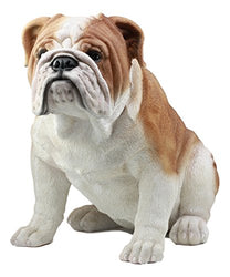 Ebros Large Lifelike Realistic English Bulldog Statue 14.5" Tall Fine Pedigree Dog Breed Collectible Decor with Glass Eyes