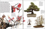 The Complete Book of Bonsai: A Practical Guide to Its Art and Cultivation