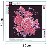 New 5D Diamond Painting Kits for Adults Kids, Awesocrafts Purple Roses Butterfly, Flowers Partial Drill DIY Diamond Art Embroidery Paint by Numbers with Diamonds (Rose)
