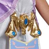 Disguise Women's Legend Deluxe Zelda Adult Costume, Multi, Large