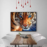 DIY 5D Diamond Painting Kit by Number Kit, Tiger Full Drill Embroidery Cross Stitch Arts Craft for Home Wall Decor 11.8x13.8 inch