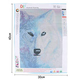 5D Full Drill Diamond Painting Kit, DIY Diamond Rhinestone Painting Kits for Adults and Children Embroidery Arts Craft Home Decor 12 by 16 inch (White Wolf)