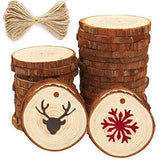 Natural Wood Slices Craft Wood kit Unfinished Predrilled with Hole Wooden Circles Great for Arts