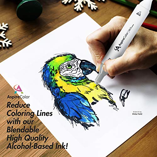  AspireColor Alcohol Markers Set - 80 Colors Dual Tip Sketch  Markers for Adults Kids - Bonus Fineliner Pen, Colorless Blender, Carry  Case Included – Alcohol Based Artist Markers for Drawing Coloring
