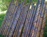 Hand Crafted, Fire Roasted Didgeridoo 52"-54" L, 1.5"-3" diameter - Solar