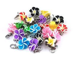 yueton 20pcs Assorted Color Frangipani Flower Dangle Charms Pendant with Lobster Clasp Jewelry
