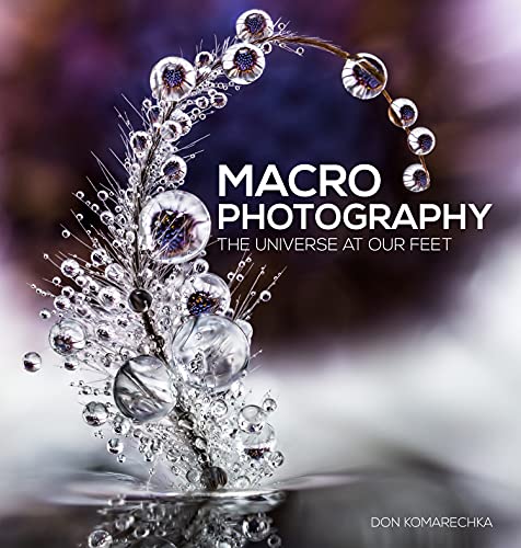 Macro Photography: The Universe at Our Feet