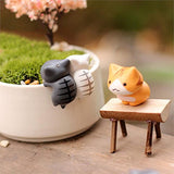 HuntGold 6X DIY Craft Cat for Fairy Garden Ornament Miniature Figurine Dollhouse Decor