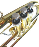New Brass Flugel Horn w/Case.Approved+Warranty