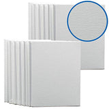 FIXSMITH Painting Canvas Panels- 24 Pack Canvas Board,8x10 Inch Primed Canvases,Classroom Pack,100% Cotton Canvas Panel,Acid Free,Artist Canvas Boards for Professionals,Hobby Painters,Students & Kids.