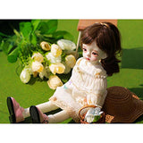 HGFDSA 1/6 BJD Doll 26Cm 10.2 Inches Toy Fashion Lovely Exquisite Doll Child Send Girl Birthday Full Set of Dolls