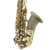 THE WILMINGTON ALTO Eb Alto Saxophone