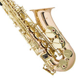 Mendini by Cecilio Eb Alto Sax w/Tuner, Case, Mouthpiece, 10 Reeds, Pocketbook and 1 Year Warranty (Intermediate Rose Gold (no tuner))