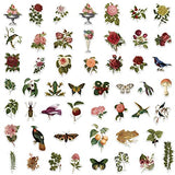 FLYAB 50Pcs Vintage Flower Plant Stickers Scrapbooking Supplies Stickers Antique Natural Butterfly Bird Stickers Aesthetic Embellishment Stickers for Decoration Planners Scrapbook Diary
