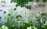 Urban Flowers: Creating abundance in a small city garden
