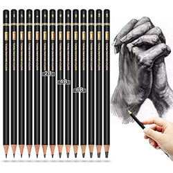 Professional Drawing Sketching Pencil Set - Brusarth 14 Pieces Art Drawing Graphite Pencils 12B, 10B, 8B, 6B×2，4B×2，2B×2，B, HB, 2H, 4H, 6H, Sketching, Shading for Beginners & Pro Artists