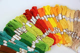 RayLineDo Embroidery Thread 100 PCS Skeins Stranded Deal Embroidery Threads Embroidery Floss